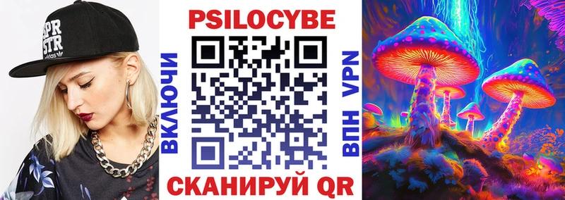 закладки  Кириши  Псилоцибиновые грибы прущие грибы 